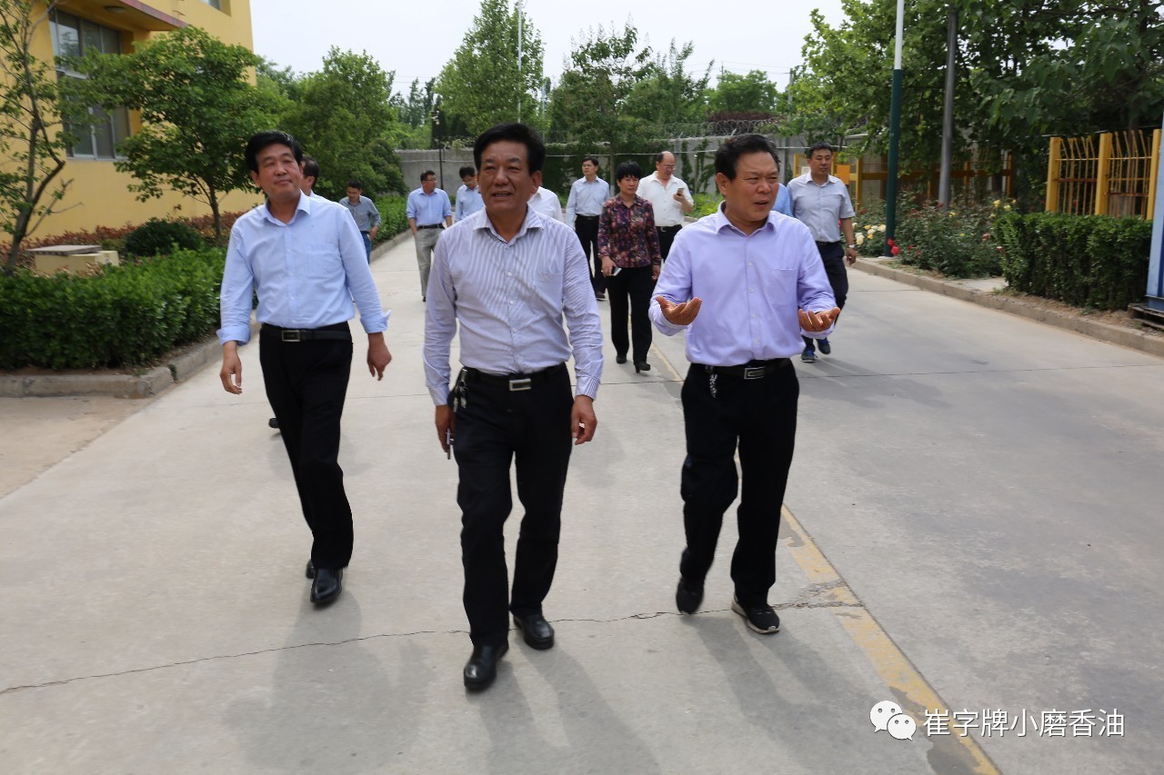 副厅长一行莅临瑞福油脂参观调研pg电子中国山东省商务厅王洪平